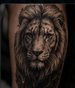 Color Tattoo in Frankfurt am Main — ZIPA Tattoo Color Tattoo in Frankfurt am Main — ZIPA Tattoo