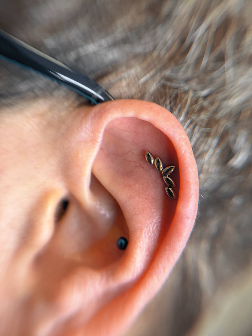 Conch und Ohrschmuck in Frankfurt am Main — ZIPA Tattoo Conch und Ohrschmuck in Frankfurt am Main — ZIPA Tattoo