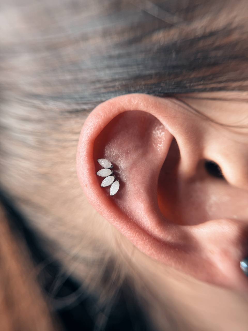 Ohrpiercing mit Schmuck in Frankfurt am Main — ZIPA Tattoo Ohrpiercing mit Schmuck in Frankfurt am Main — ZIPA Tattoo