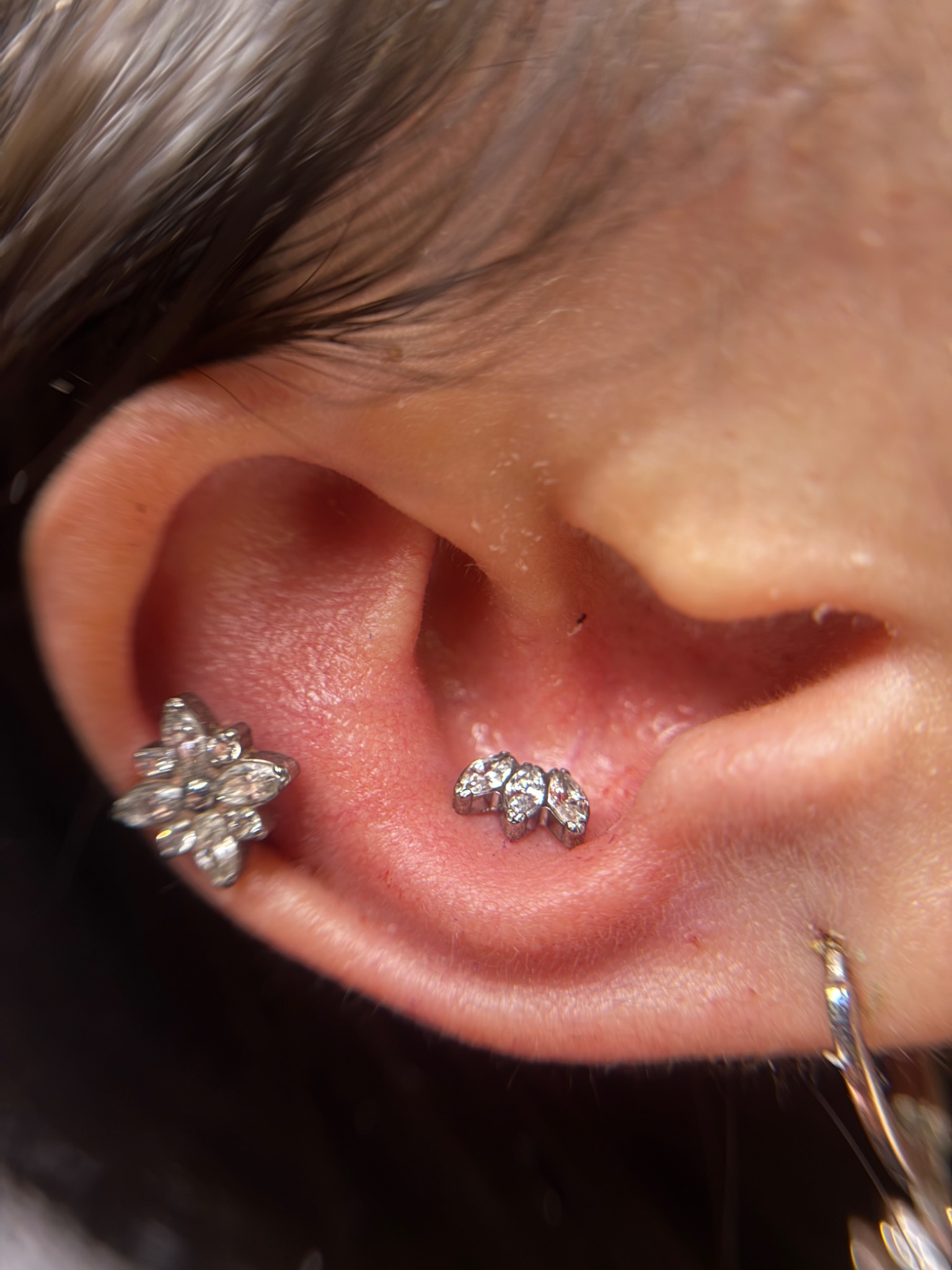 Piercing mit floralem Schmuck in Frankfurt am Main — ZIPA Tattoo Piercing mit floralem Schmuck in Frankfurt am Main — ZIPA Tattoo