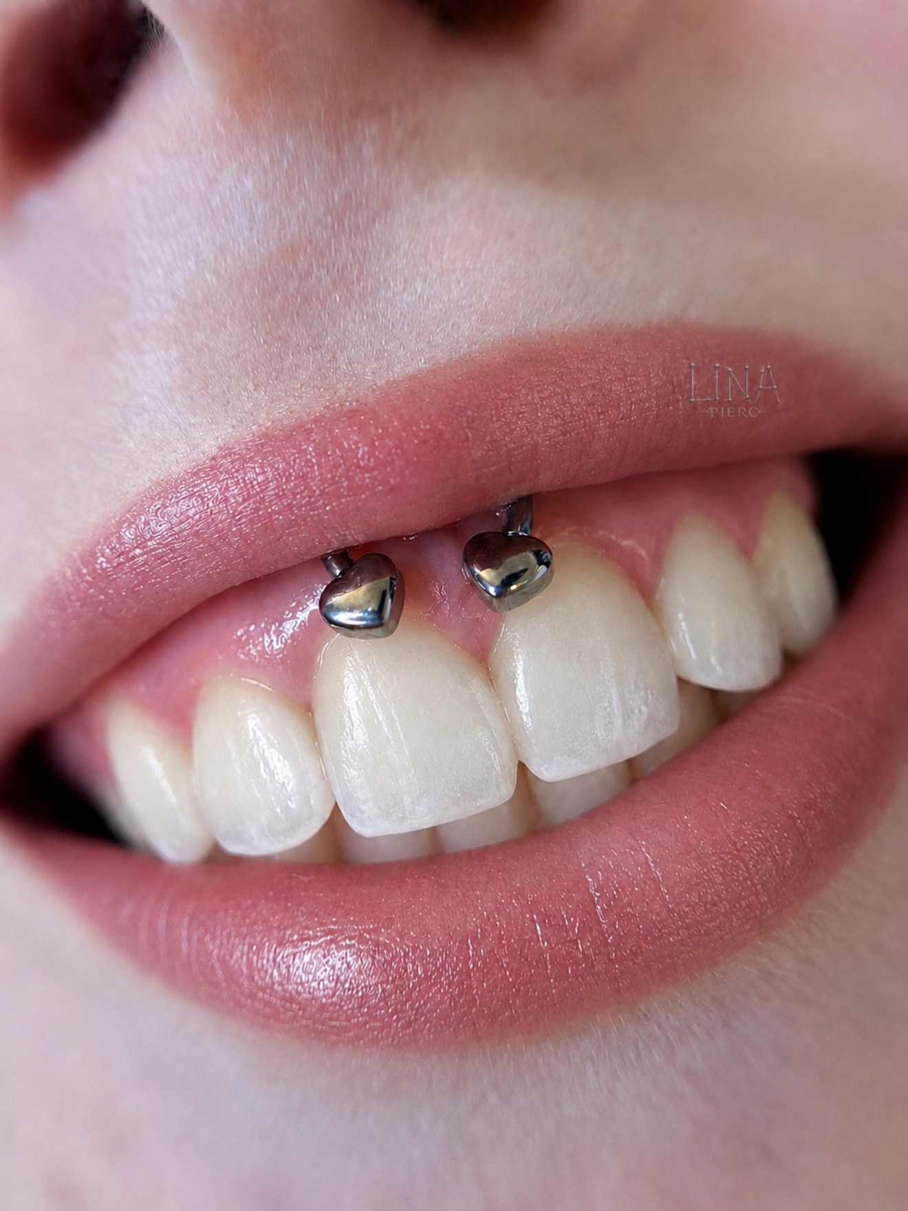 Ohrpiercing mit Schmuck in Frankfurt am Main — ZIPA Tattoo Ohrpiercing mit Schmuck in Frankfurt am Main — ZIPA Tattoo