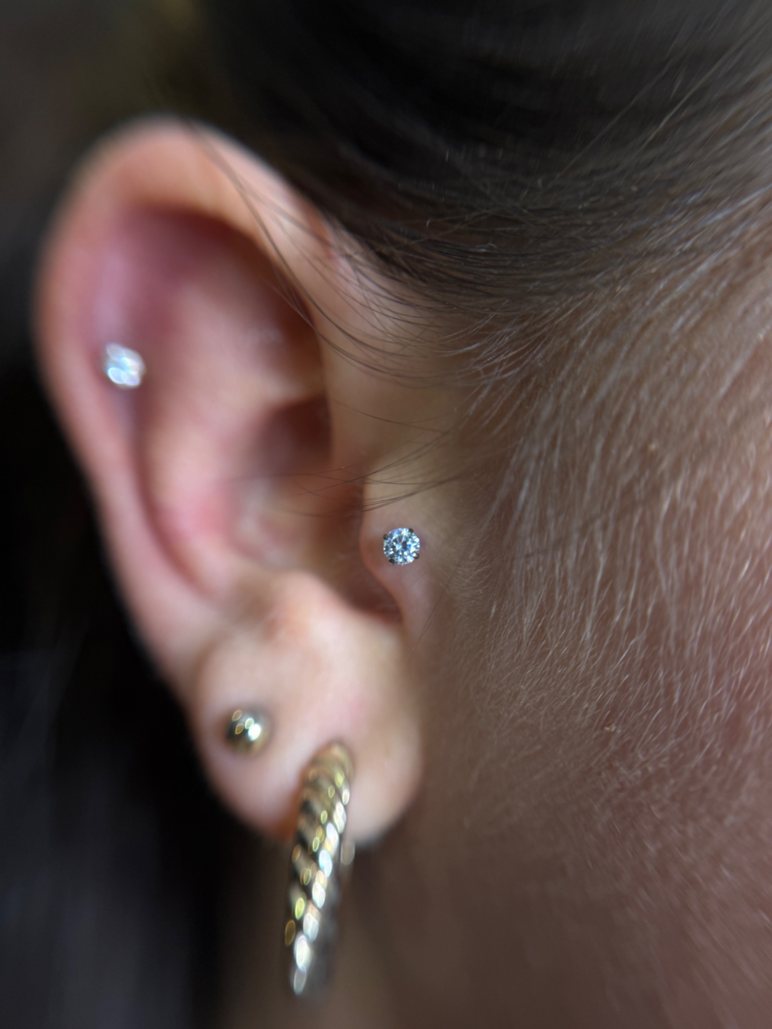 Gesichtspiercing in Frankfurt am Main — ZIPA Tattoo Gesichtspiercing in Frankfurt am Main — ZIPA Tattoo